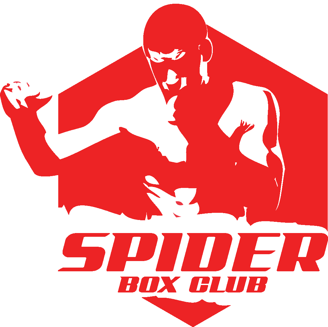logo Spider Box Club